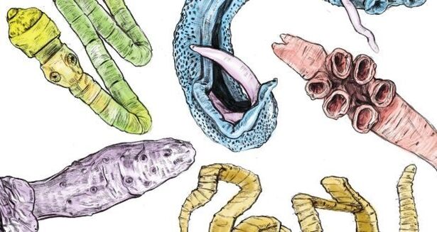 Parasites in the human body