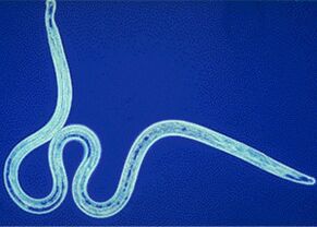 A parasite